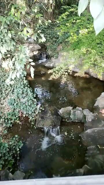 豆娃踢足球