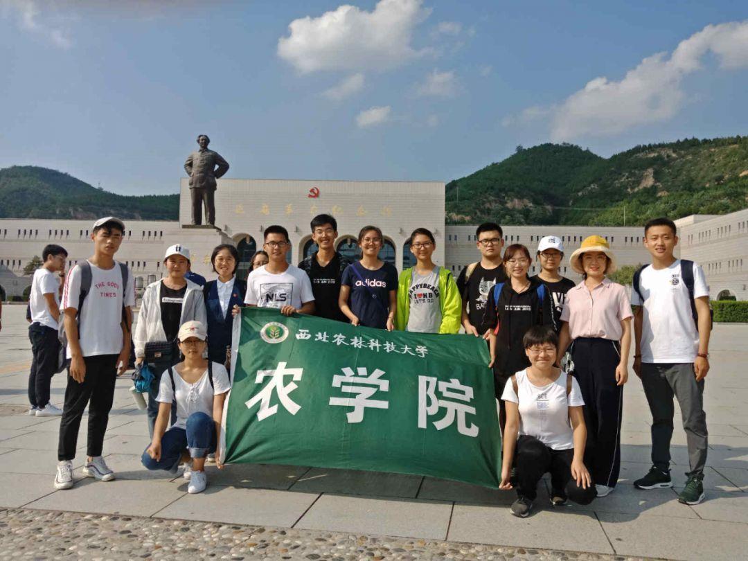 乾隆皇帝的裹尸布到底经历了什么，为什么拍出了1.3亿元？游戏画面